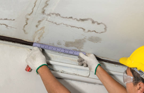 Reliable Water Damage contractor in Newnan, GA by Water Damage Irwin